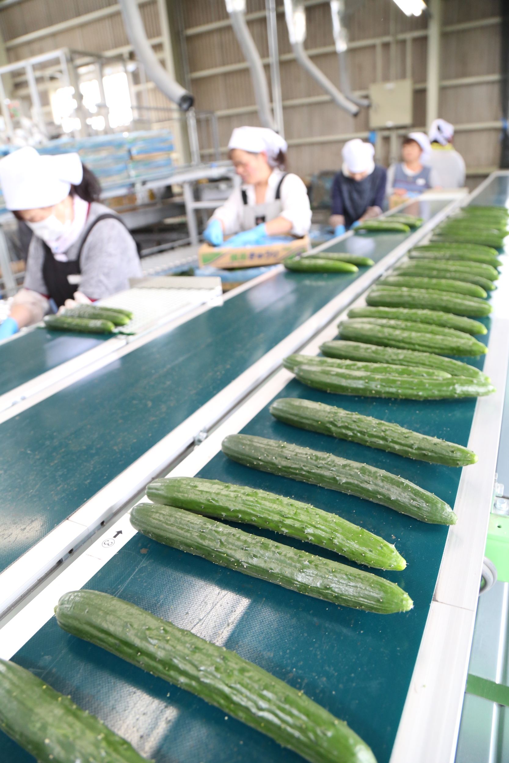 トピックス | JAふくしま未来