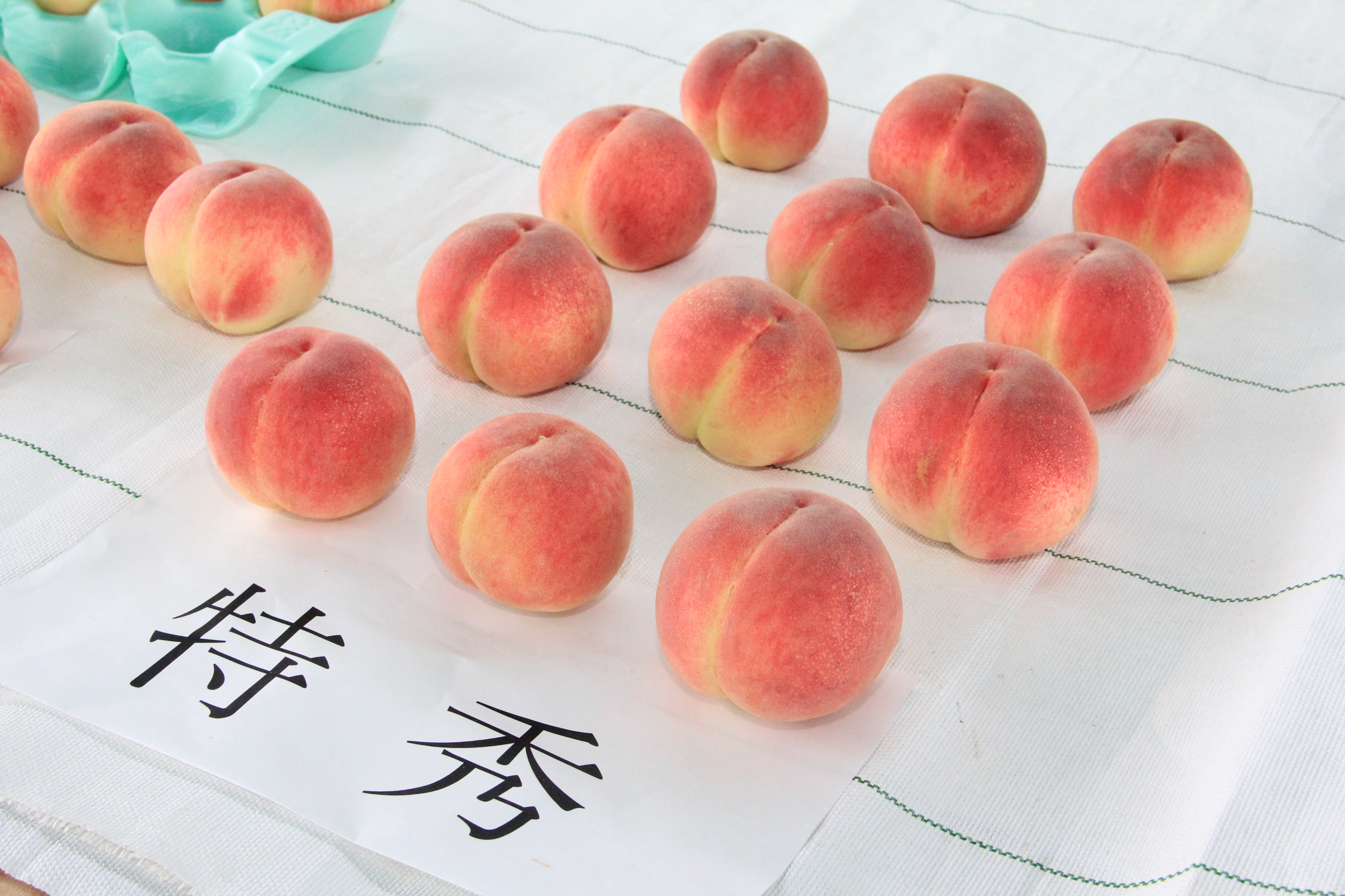 トピックス | JAふくしま未来