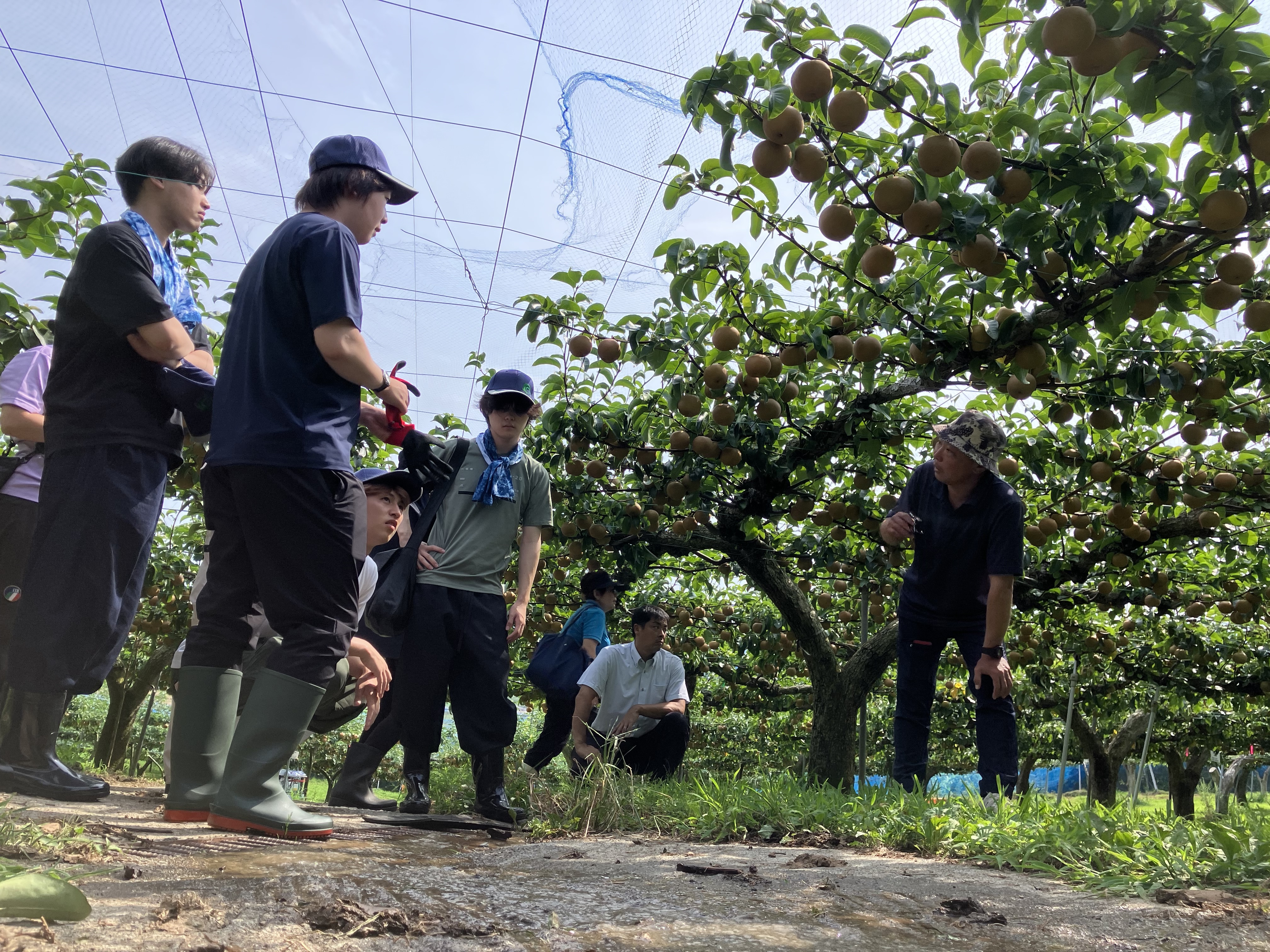※動作未確認の為・ジャンク扱い／3相200V／引き取り推奨／現物確認歓迎※要相談 トピックス | JAふくしま未来