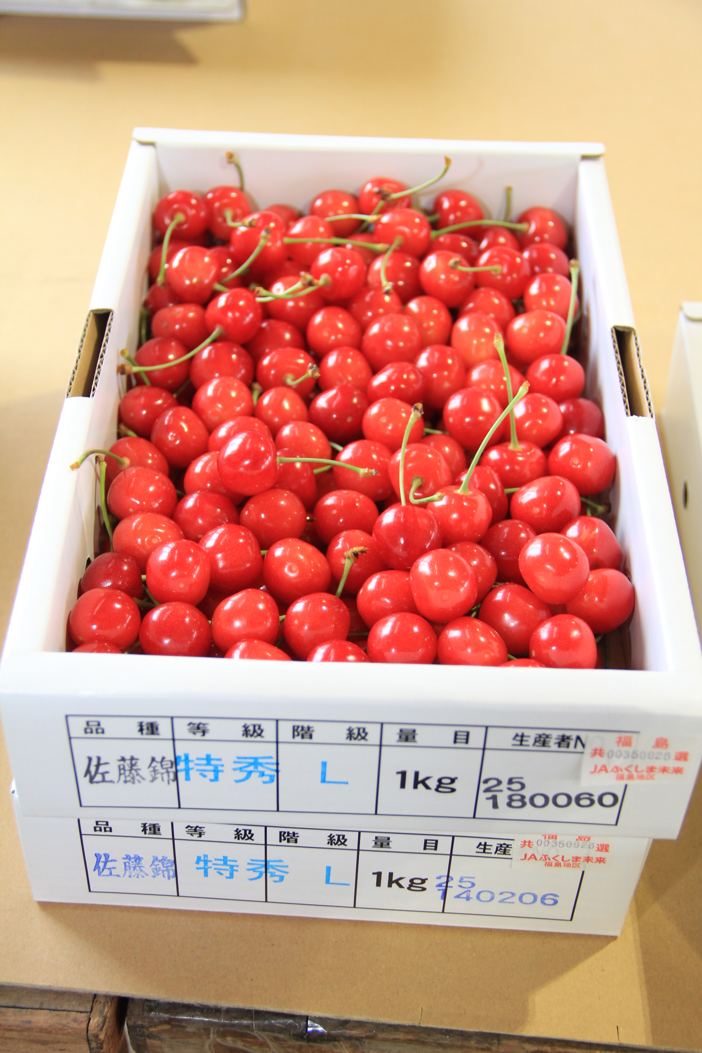 東大赤本(生物なし)　さたけさん専用 東大赤本(生物なし) さたけさん専用 - メルカリ