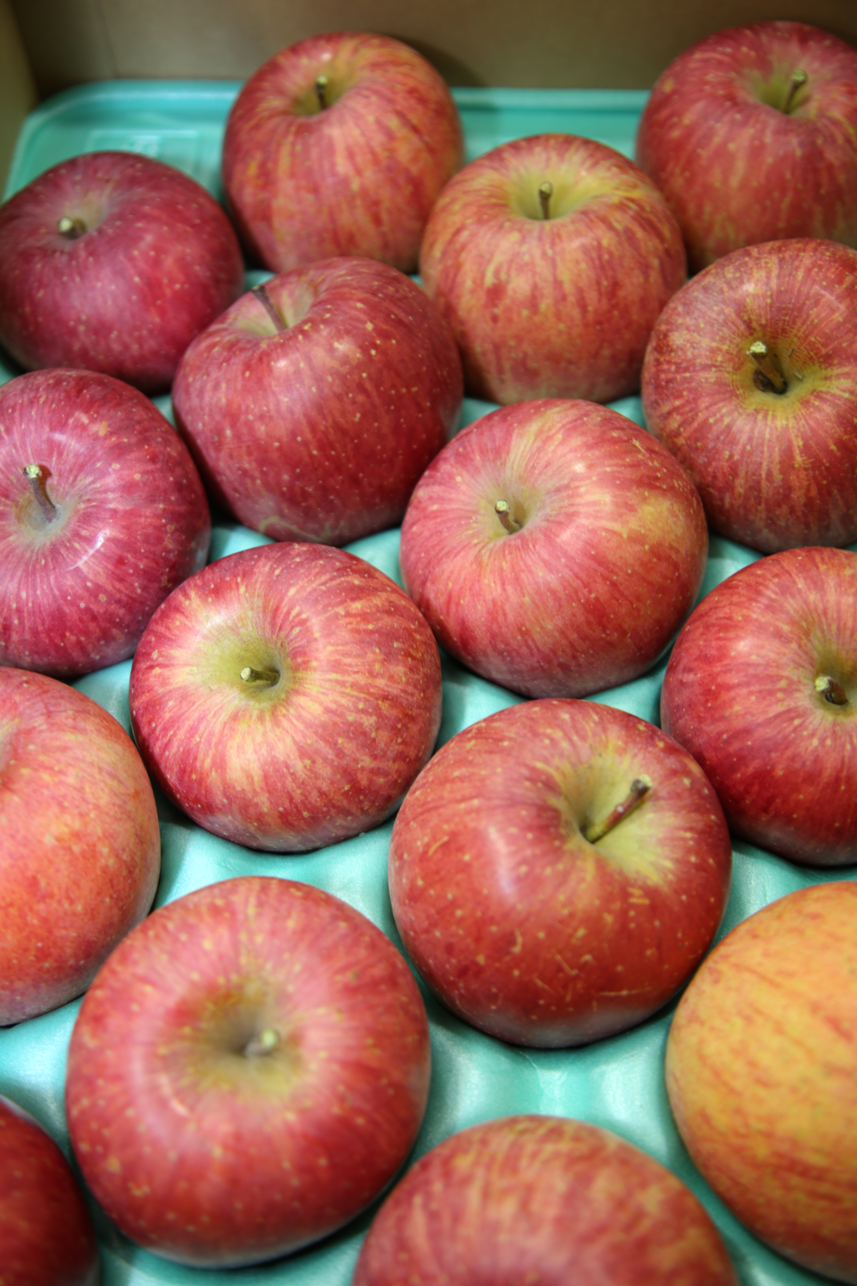 トピックス | JAふくしま未来